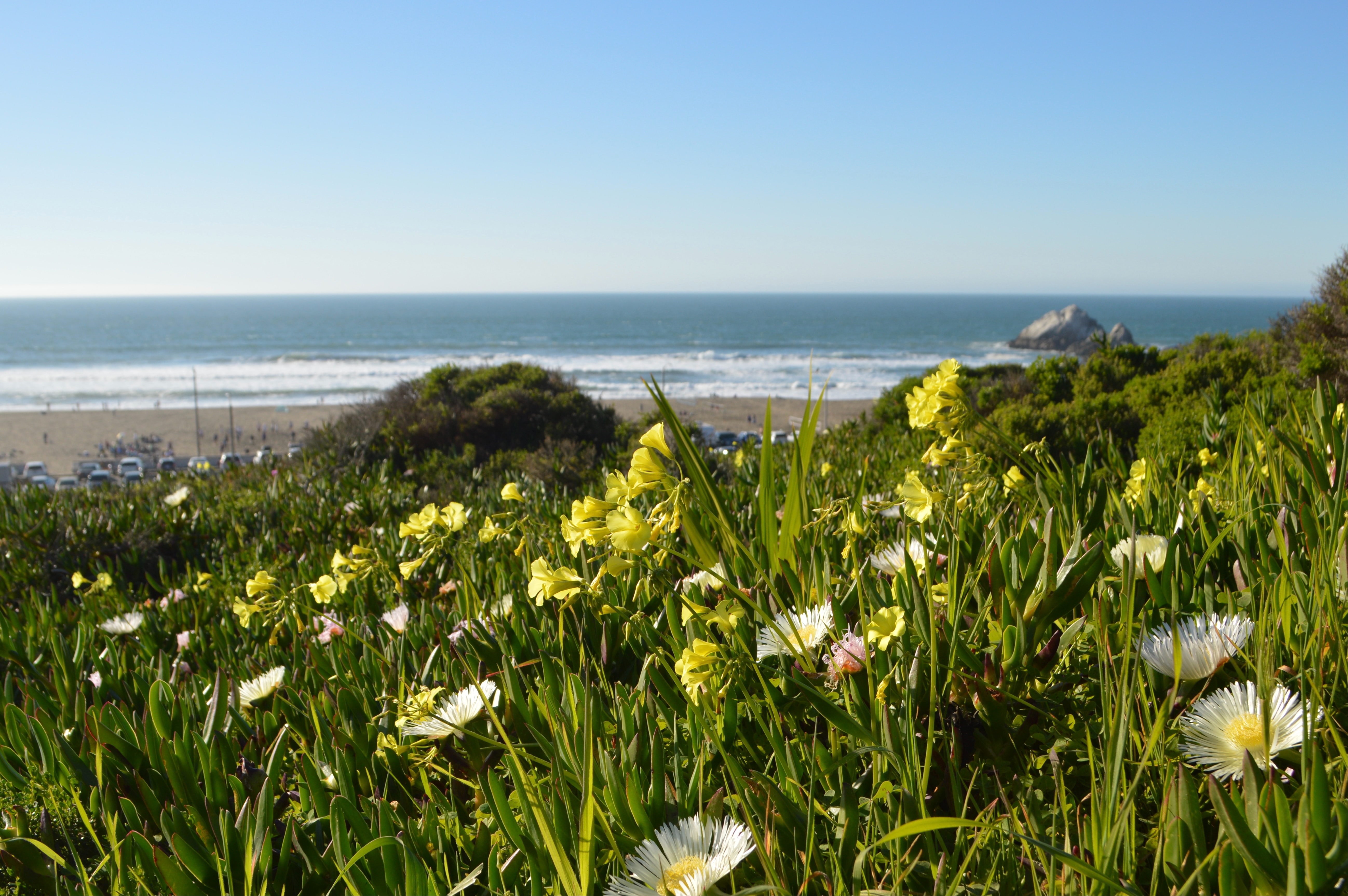 San Francisco beach hike, Dipsea Trail.
