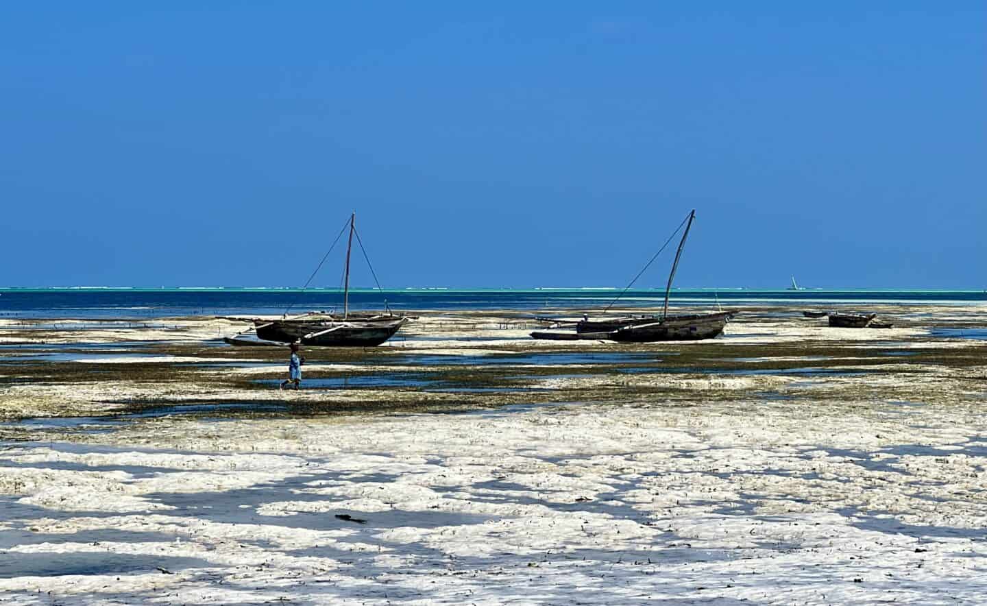 Enchanting Zanzibar, low tide