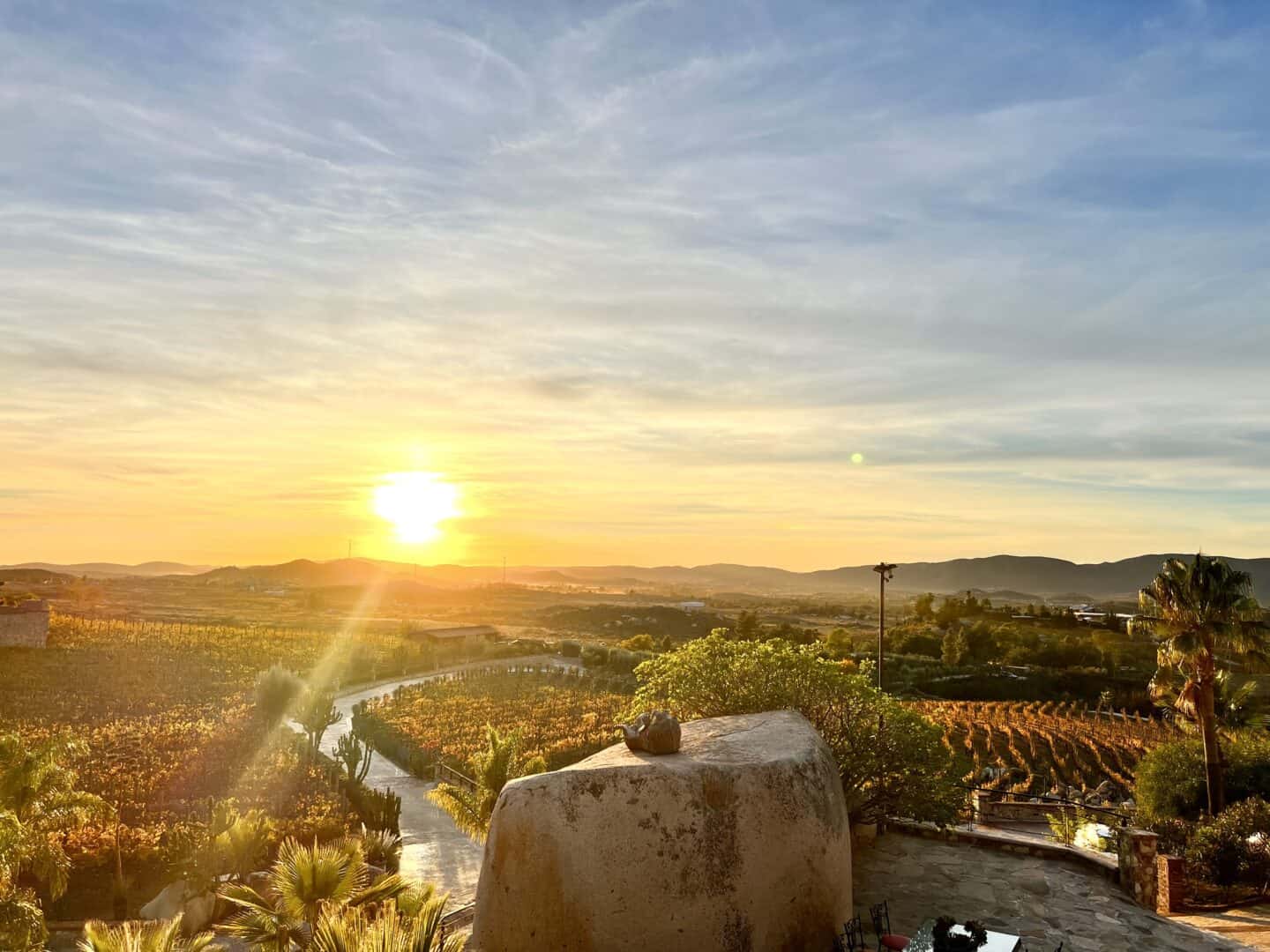 Valle de Guadalupe- sunset