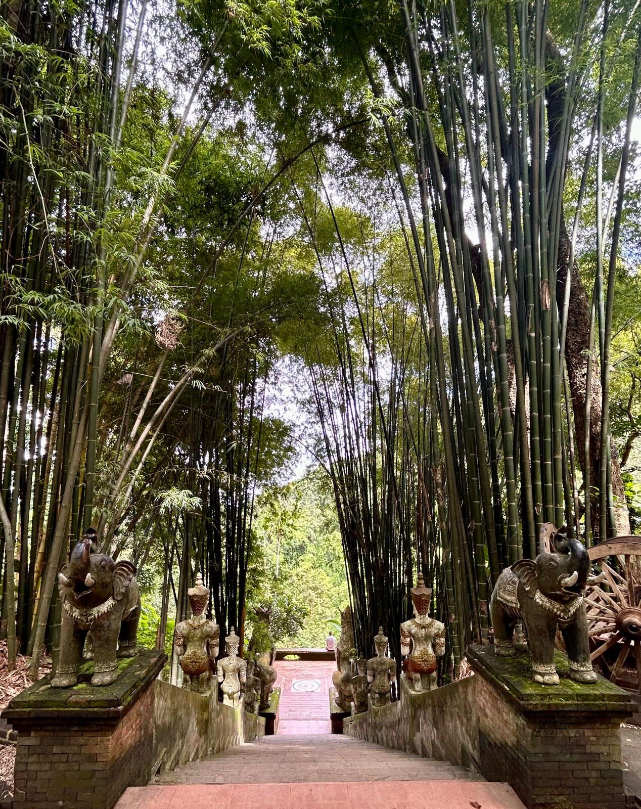 Chiang Mai Northern Thailand