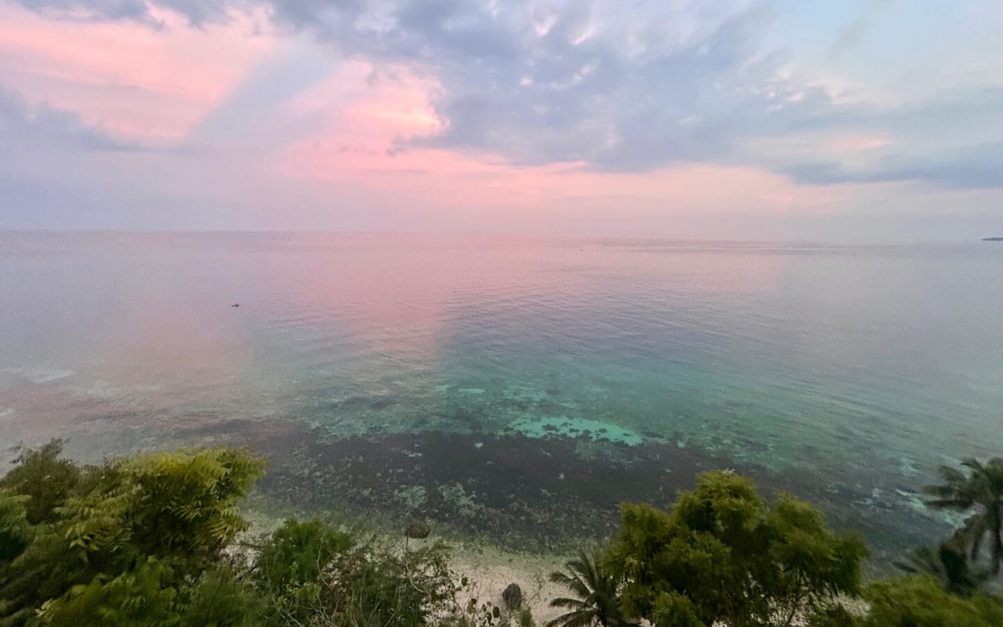 snorkeling with whale sharks coron philippines