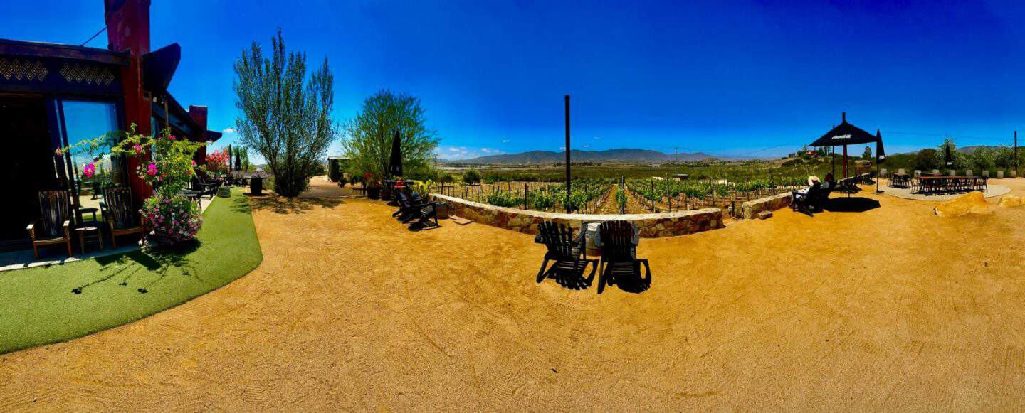 xecue winergy valle de guadalupe