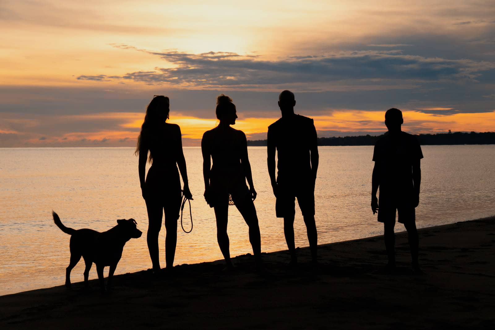 Pure Form of Paradise