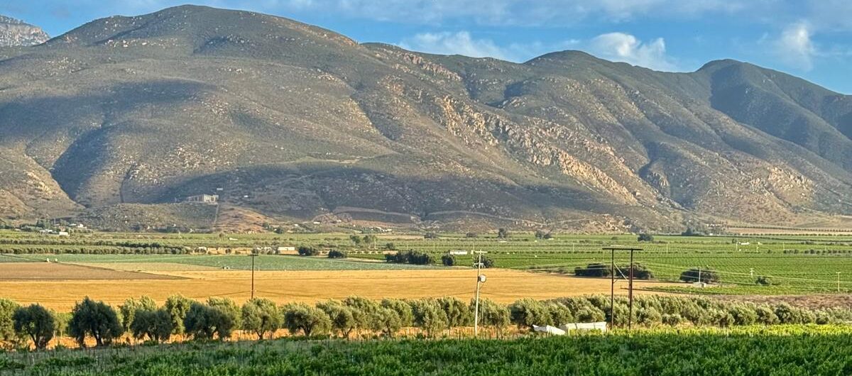 how to get to valle de guadalupe