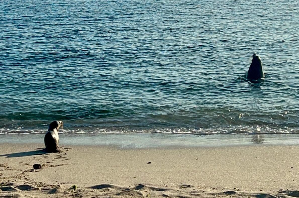 what to do on San Cristóbal