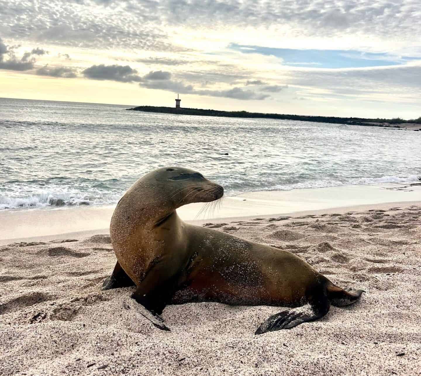 what to do on san cristóbal