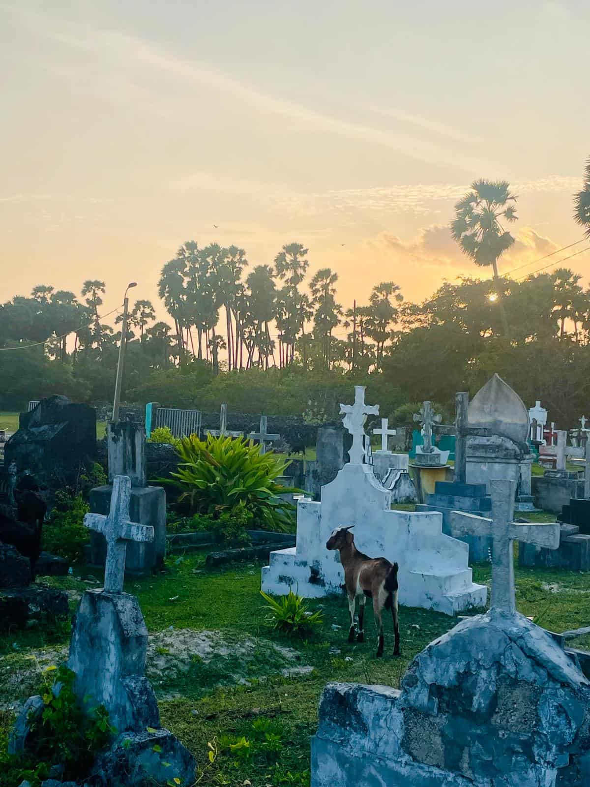 cemetary in sri lanka