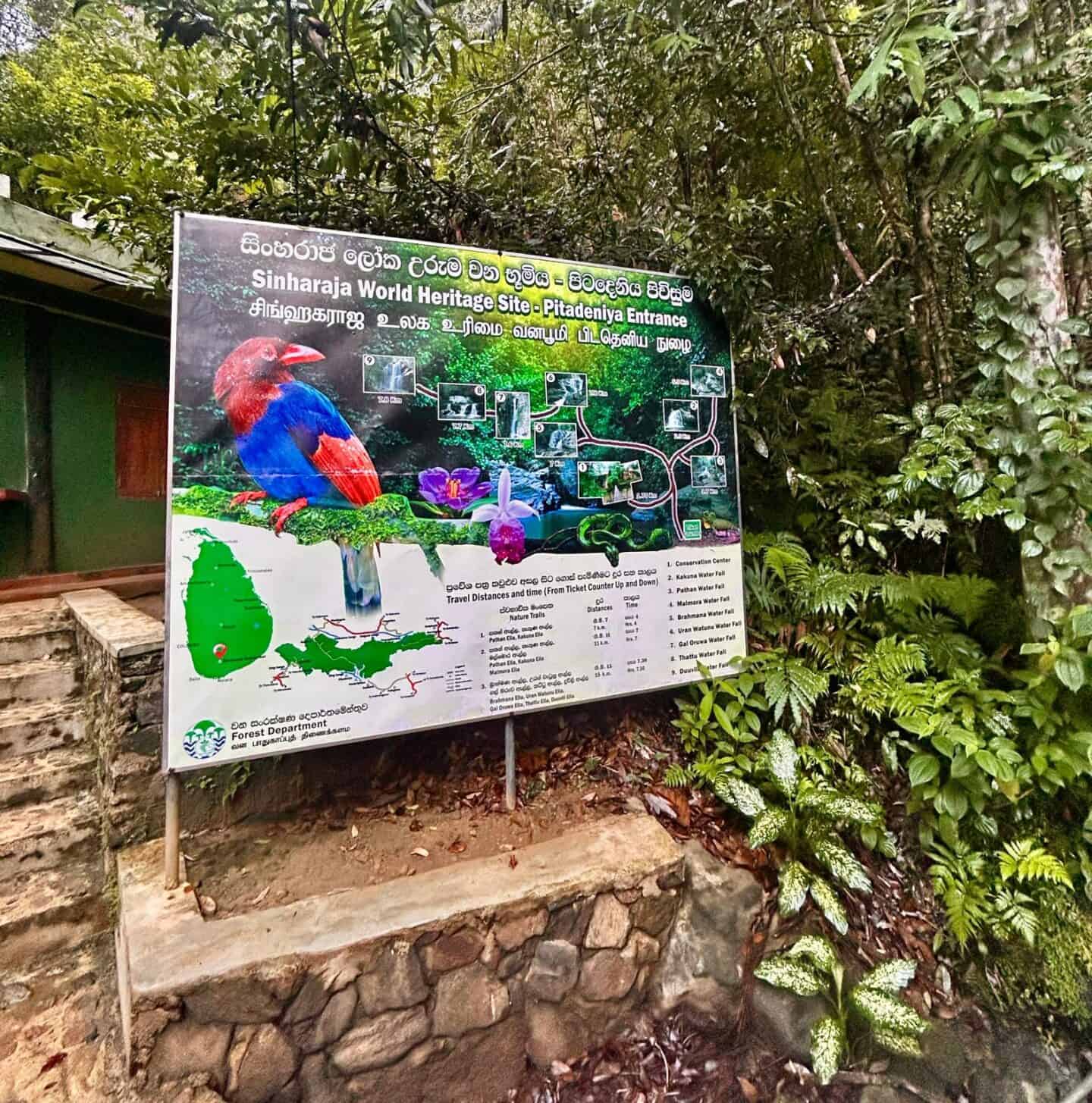 Sinharaja Rainforest Sri Lanka