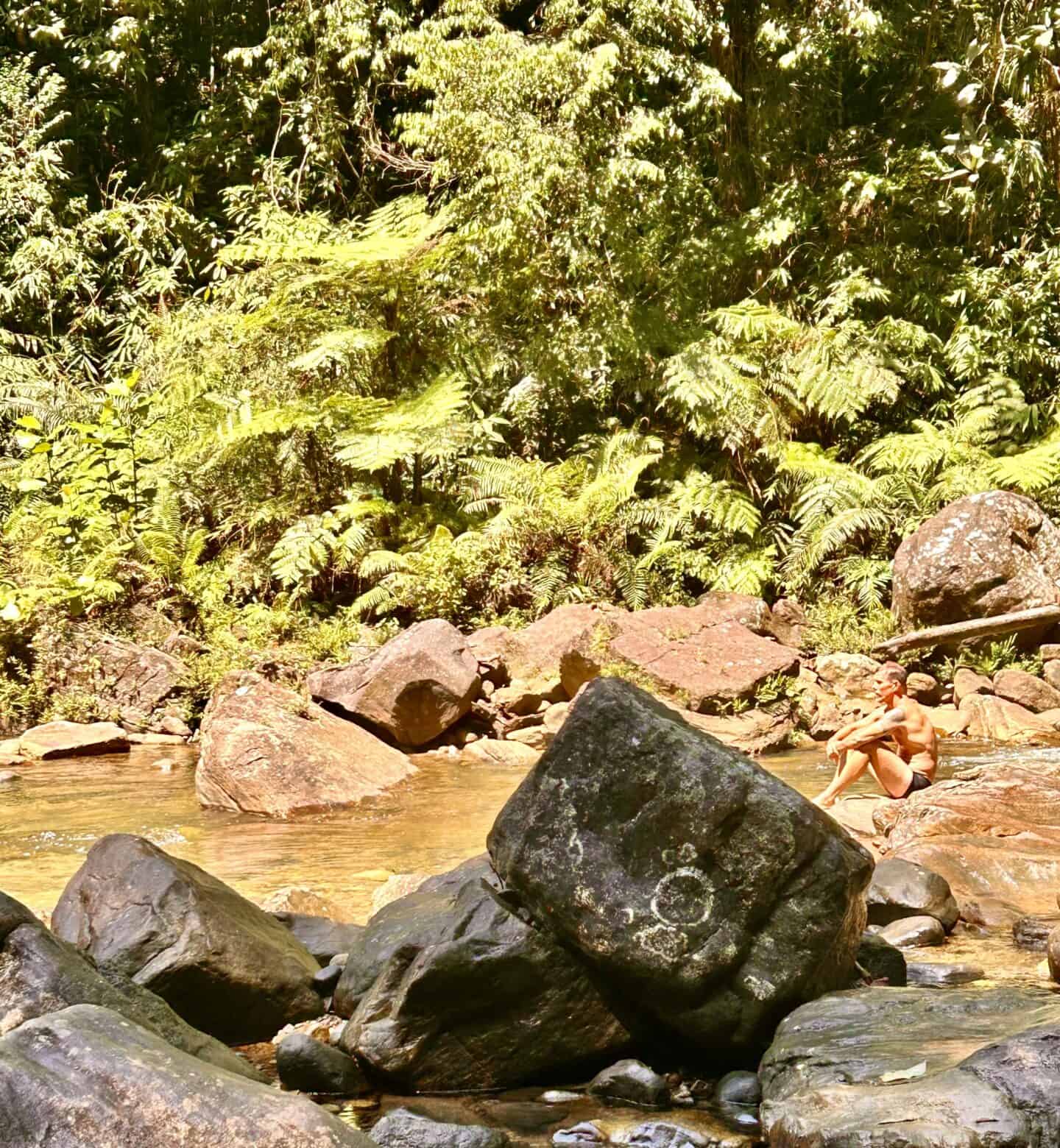 Sinharaja Rainforest waterfall