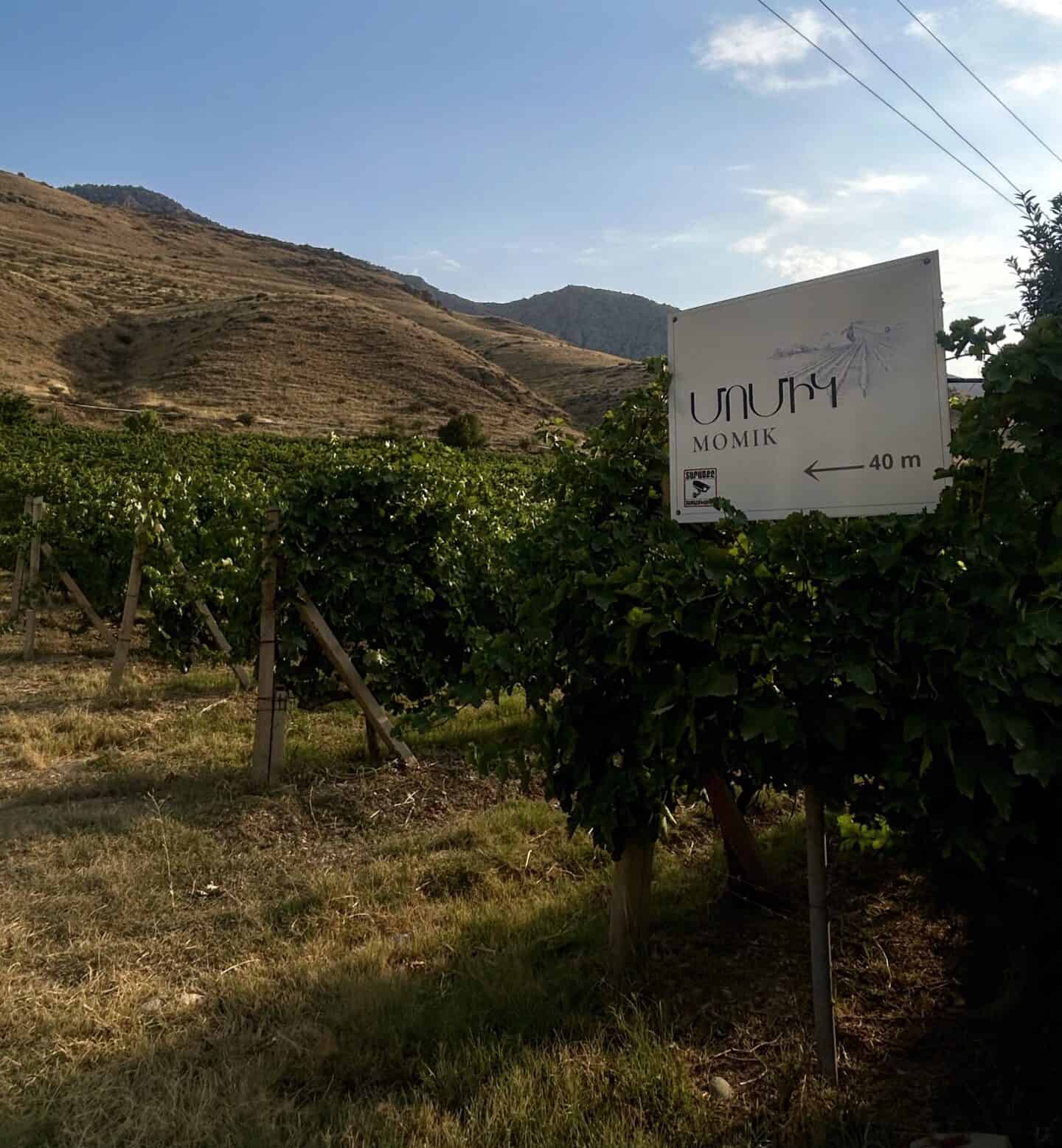 Momik winery areni armenia
