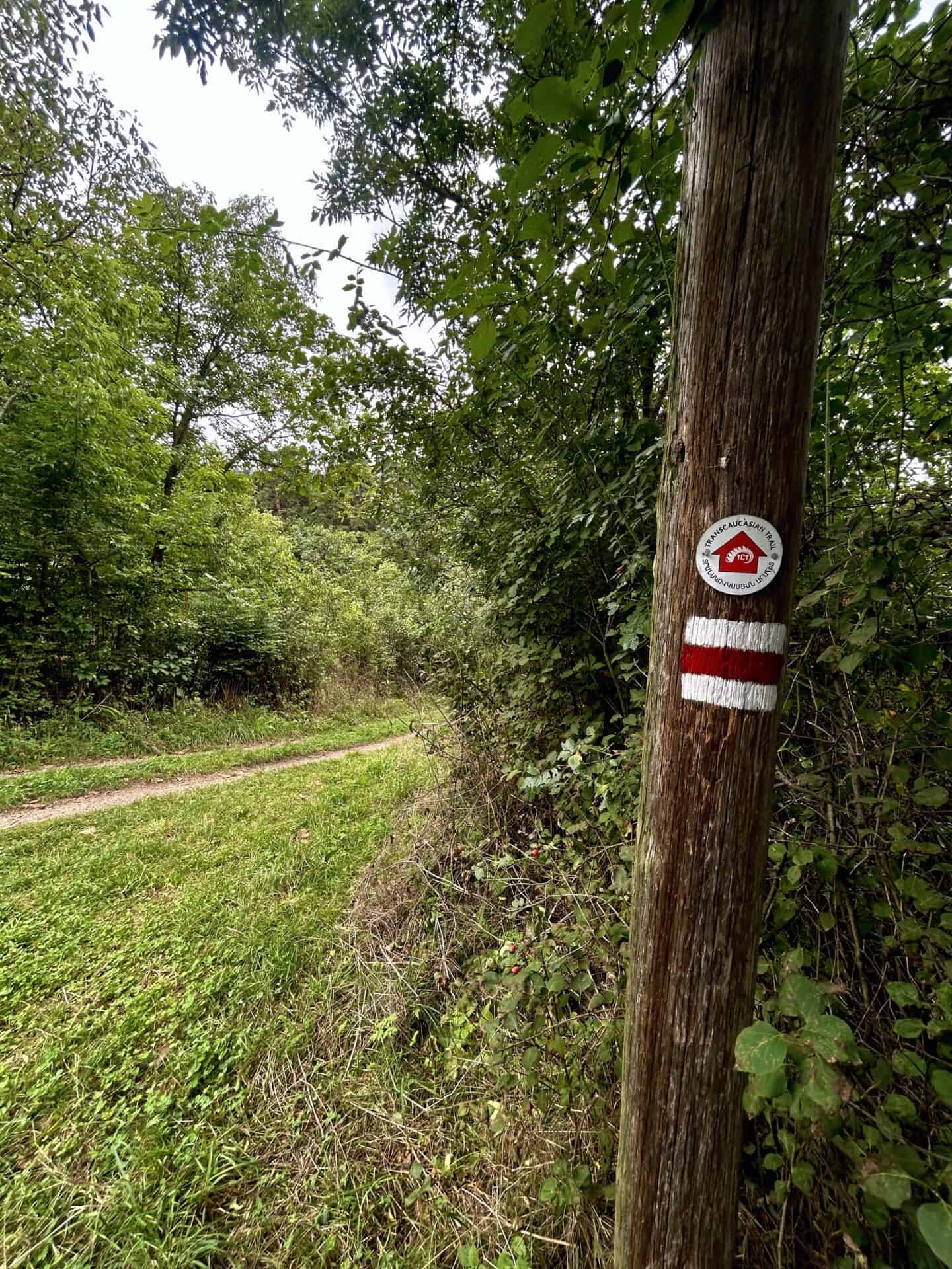 Transcaucasian Trail Dilijan national forest